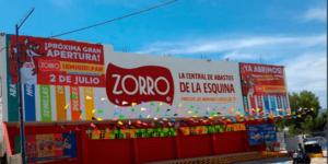 Zorro Ixmiquilpan