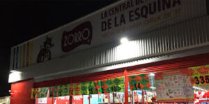 Zorro Actopan
