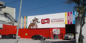 Zorro Aeropuerto
