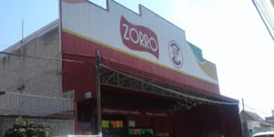 Zorro Amecameca