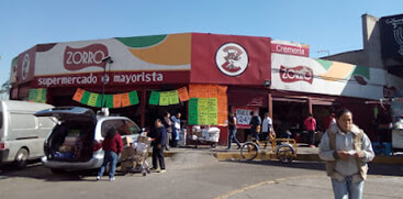 zorro cazador