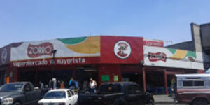 Zorro Central E9 central de abastos iztapalapa