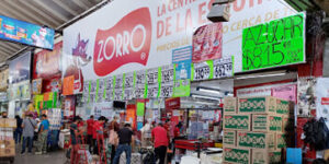 Zorro Central Q6 central de abastos iztapalapa