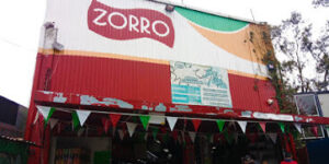 Zorro Cuajimalpa