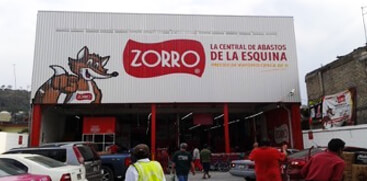 zorro flecha