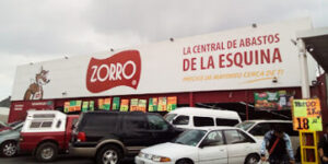 Zorro Ixtapaluca