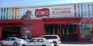Zorro Pachuca