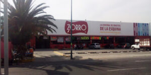 Zorro Peñon