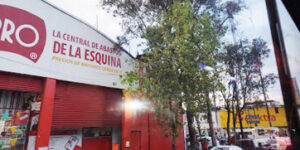 Zorro Primavera