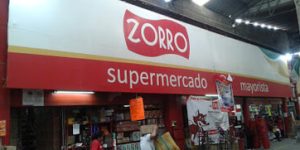 Zorro Toluca 2 central de abastos toluca