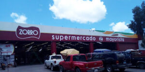Zorro Tulancingo