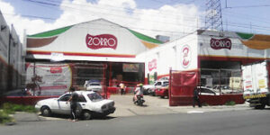 Zorro Tulyehualco