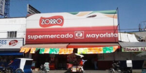 Zorro Valle de Chalco