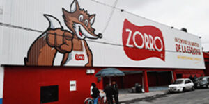 Zorro Tulancingo 2