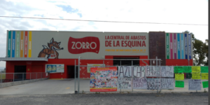 Zorro Lagos de Moreno