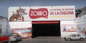 Zorro Magdalena