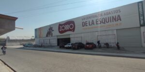Zorro San Mateo Atenco
