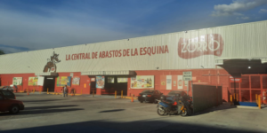 Zorro Jojutla Morelos