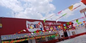 Zorro Puebla 11
