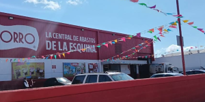 Zorro Guanajuato