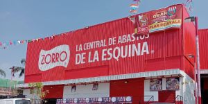 Zorro Plan de Ayala