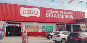 Zorro La Piedad
