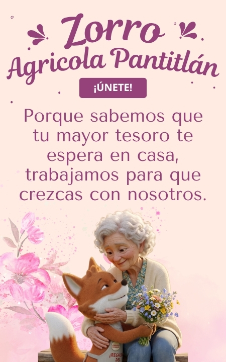 Banner Mobile 2026 (10)