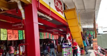 Zorro central ecatepec 2
