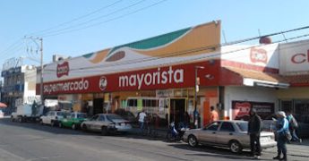 Zorro irapuato