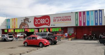 Zorro san francisco del rincon