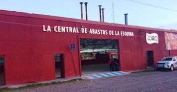 zoro san miguel de allenda