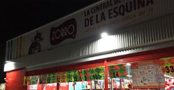 zorro actopan