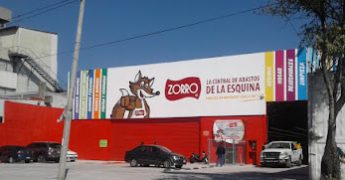 zorro aeropuerto