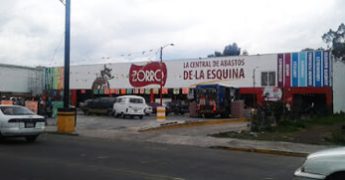 zorro chalco 2