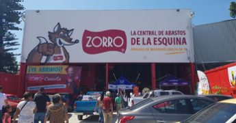 zorro cuautla