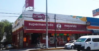 zorro ecatepec 1