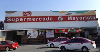 zorro ermita 2