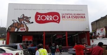 zorro flecha