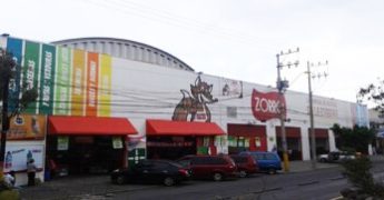 zorro neza