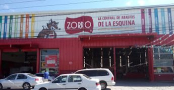 zorro pachuca