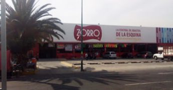 zorro peñon