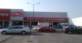 zorro-queretaro-belen