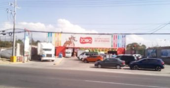 zorro san vicente