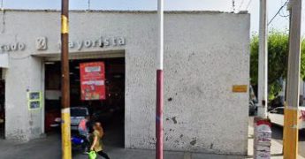 zorro texcoco