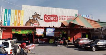 zorro tizayuca