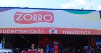 zorro toluca 1