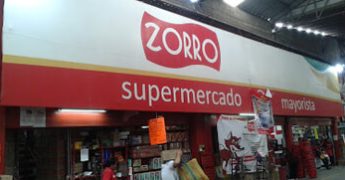 zorro toluca 2