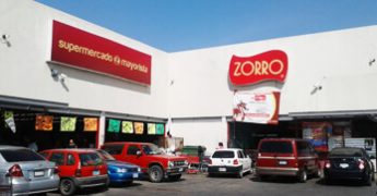 zorroleon
